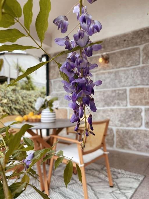 Souto Guimarães Country House Villa in Guimaraes