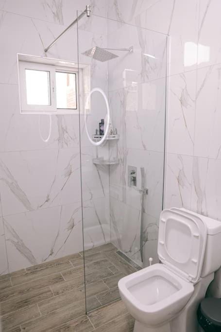 Shower, Toilet, Bathroom, bidet