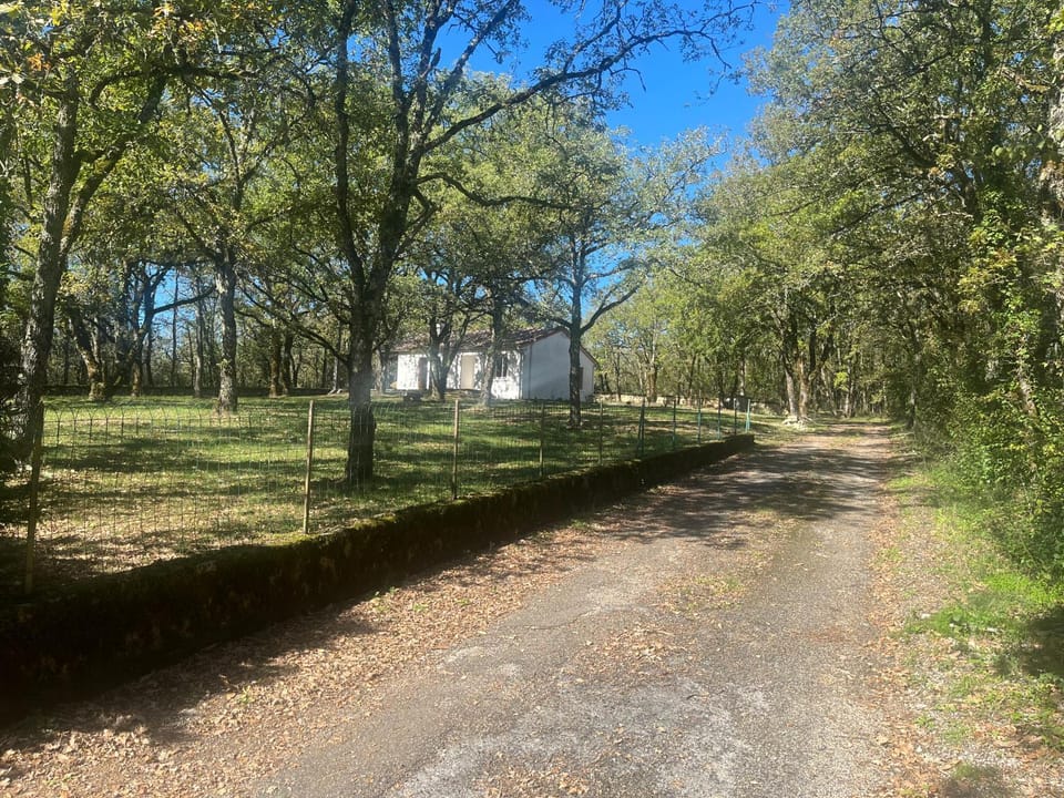 Property building, Garden view