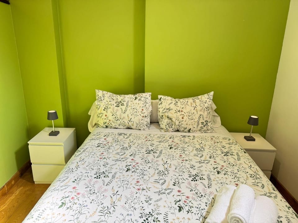 BIKE APARTMENT next to Cathedral and Laurel by Apartamentos Logrono org Apartment in Logrono