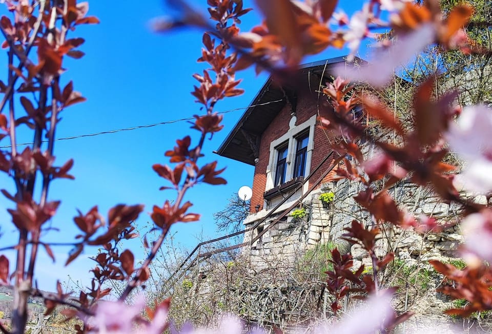 Property building, Spring, Garden, Garden view