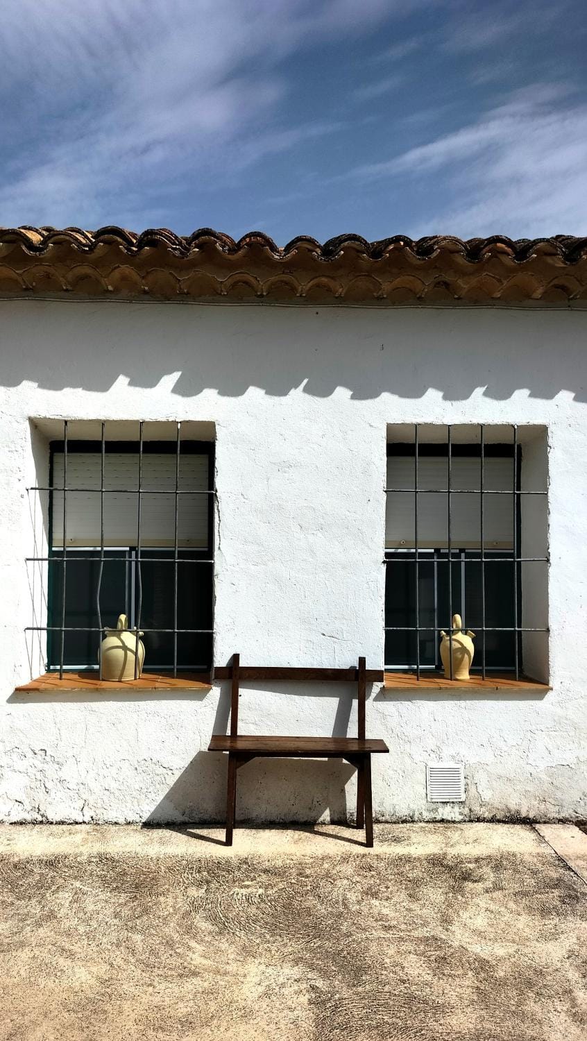 Malpesa Rural House in La Mancha