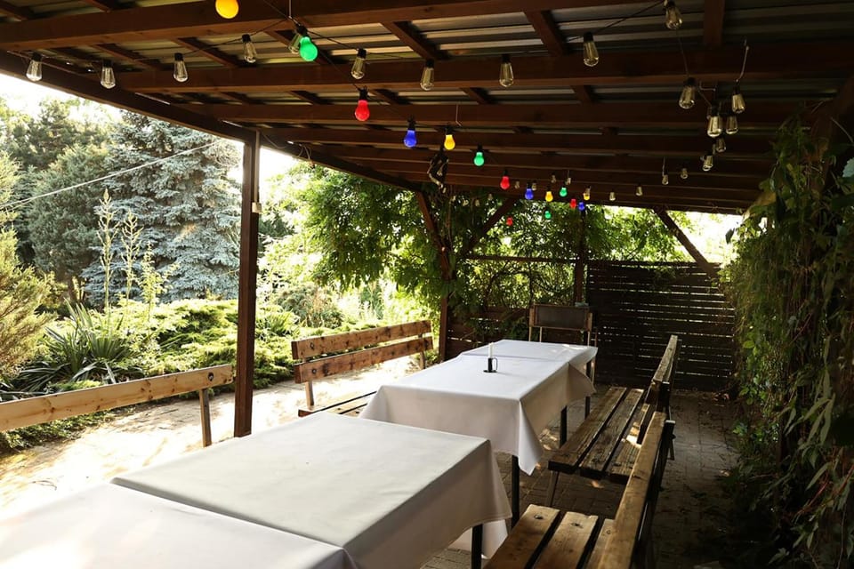 Day, Garden, Balcony/Terrace