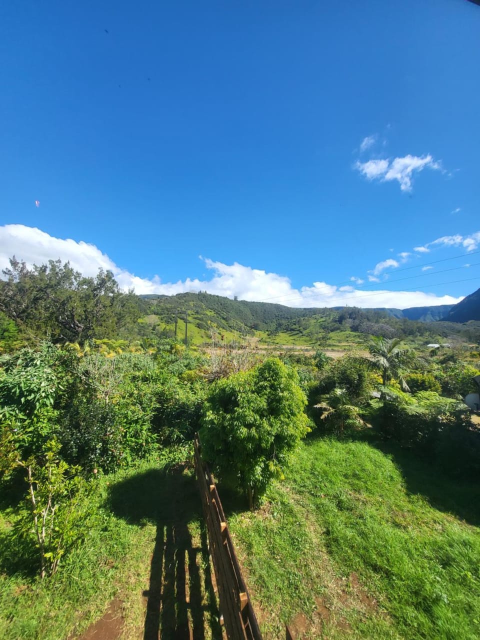 Garden view