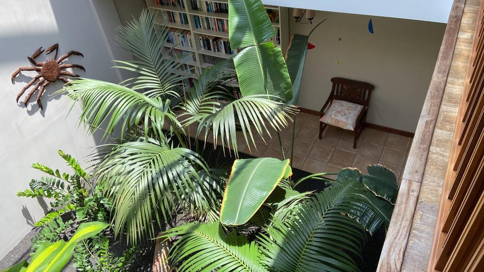 Day, Garden, Garden