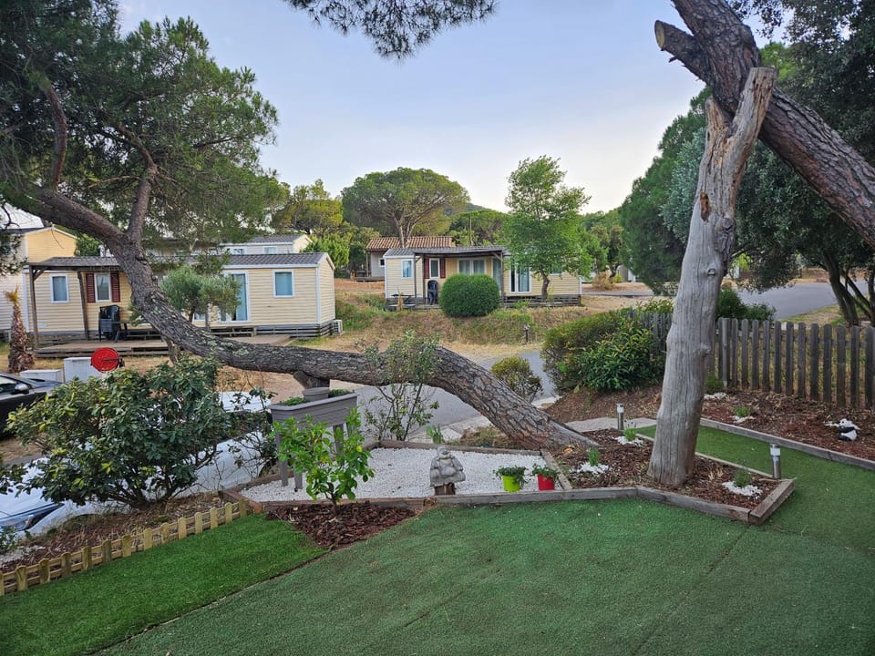 Natural landscape, Garden, Garden, Garden view