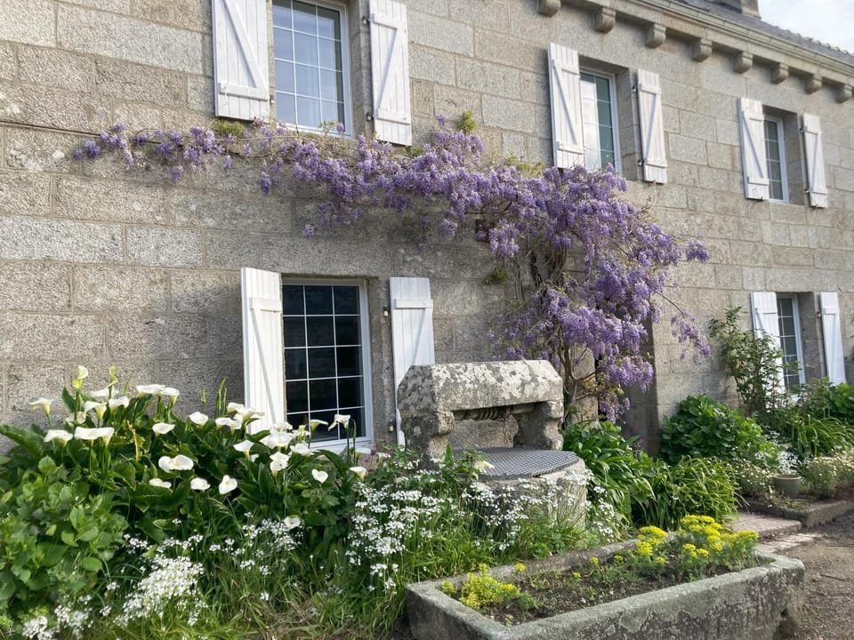 Property building, Spring