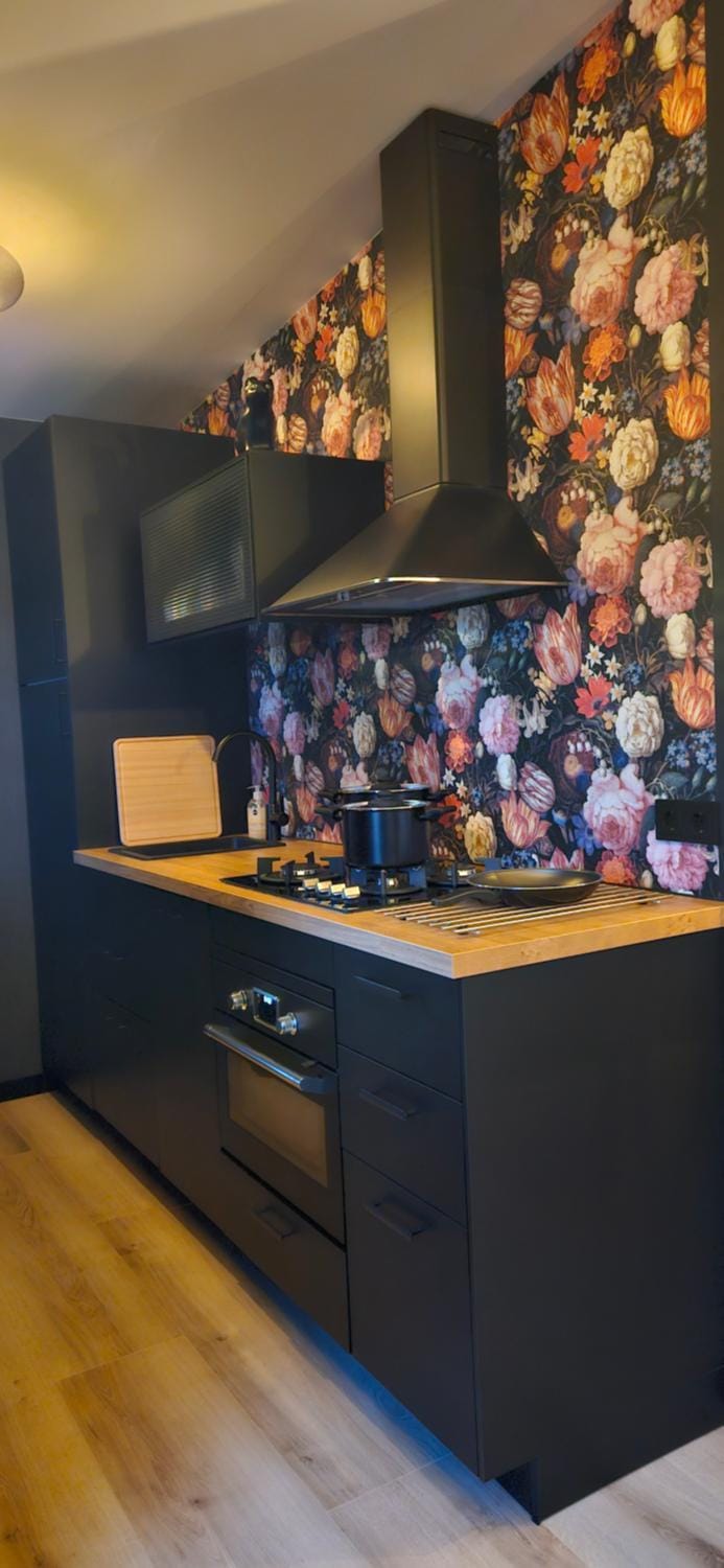 Kitchen or kitchenette, stove