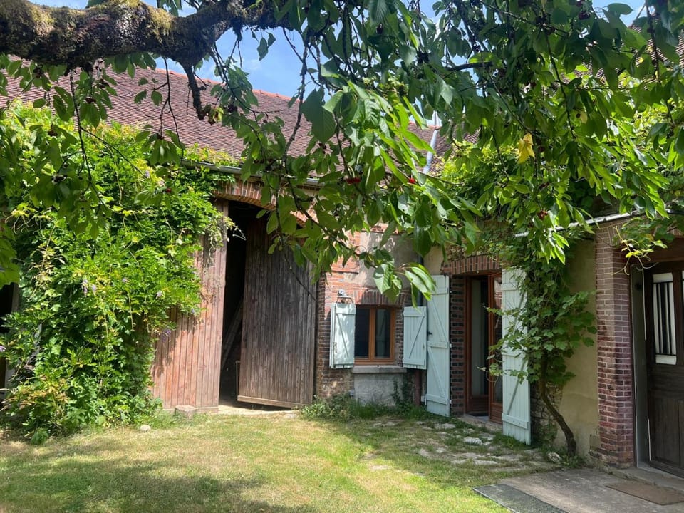 Property building, Garden, Garden view