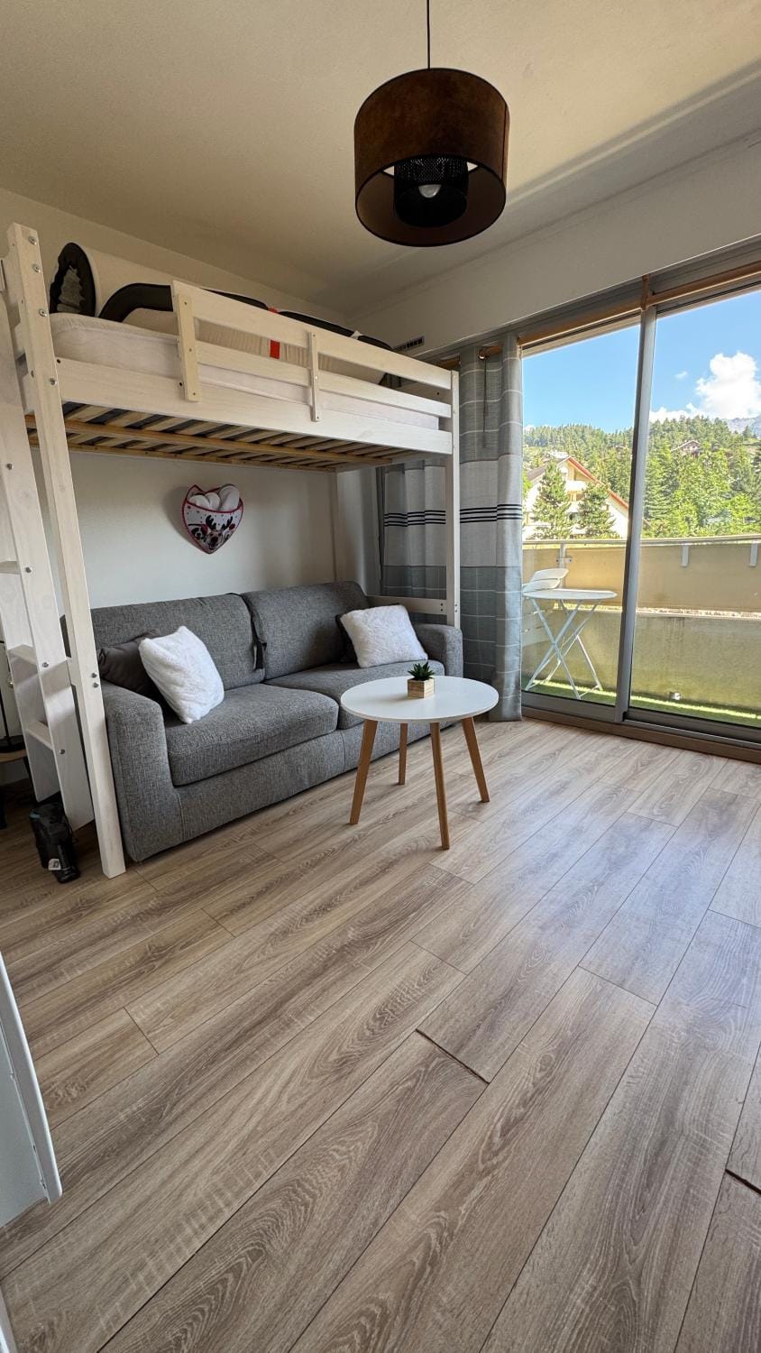 Charmant studio au cœur d Auron 119 Apartment in Saint-Étienne-de-Tinée