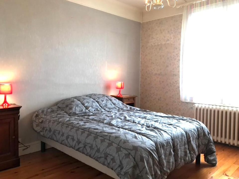 LE PRAIRIE - Centre - Marché Couvert - Spacieux Apartment in Auvergne-Rhône-Alpes