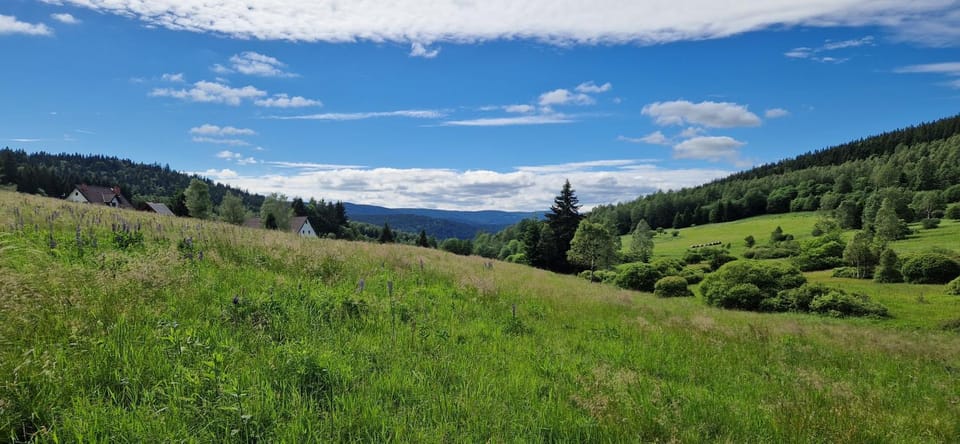 Natural landscape, Summer, Mountain view