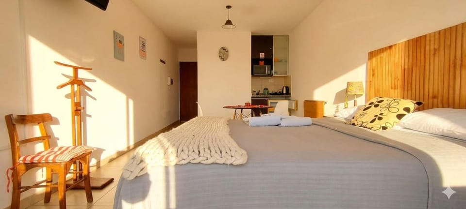 Don Felipe Loft Boutique SN Departamento Rosario Barrio Echesortu Apartment in Rosario
