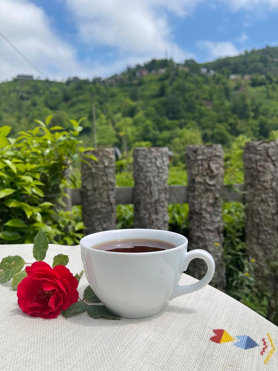 Natural landscape, Coffee/tea facilities, Mountain view