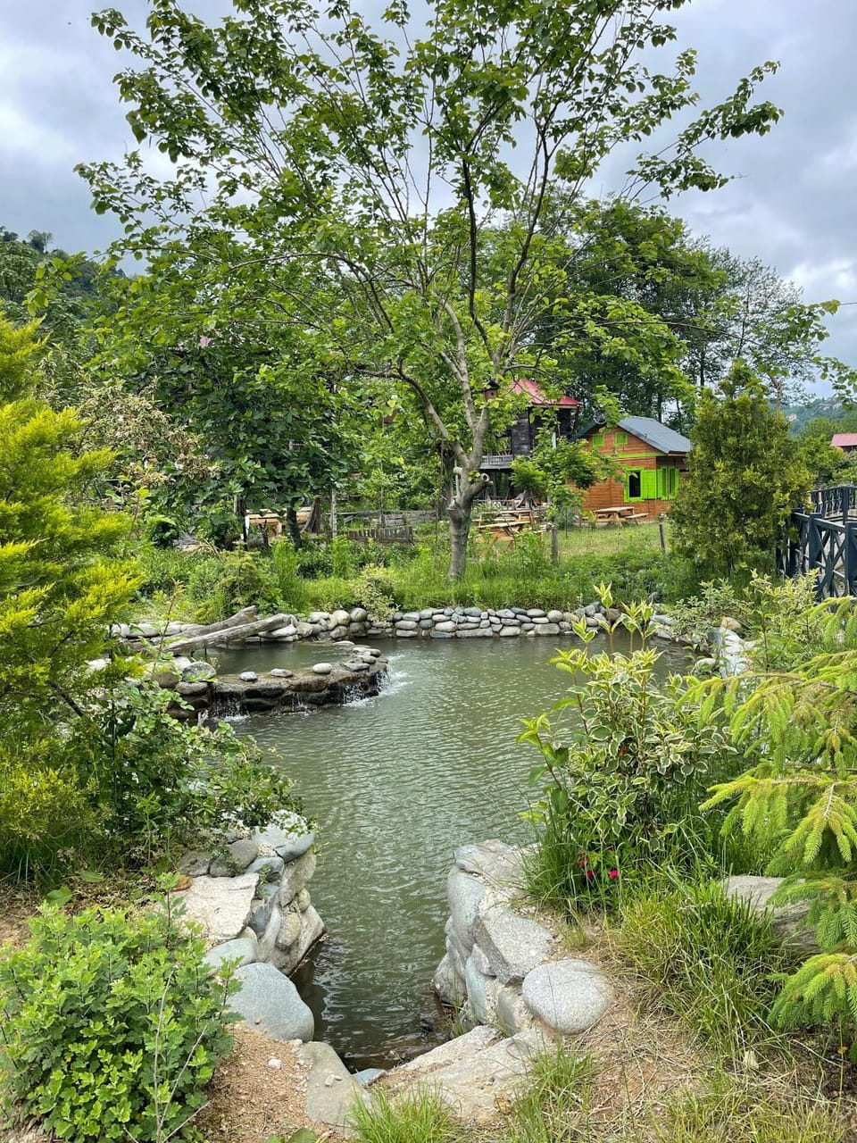 Natural landscape, Garden, Garden view, Lake view