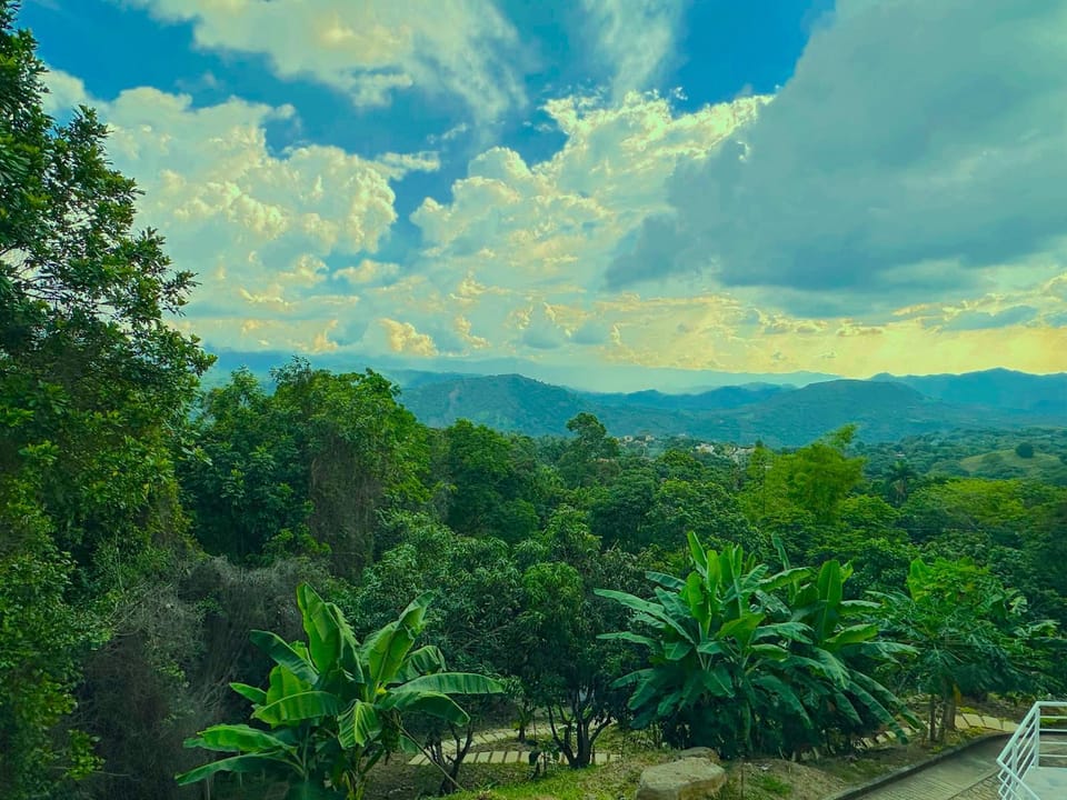 Natural landscape