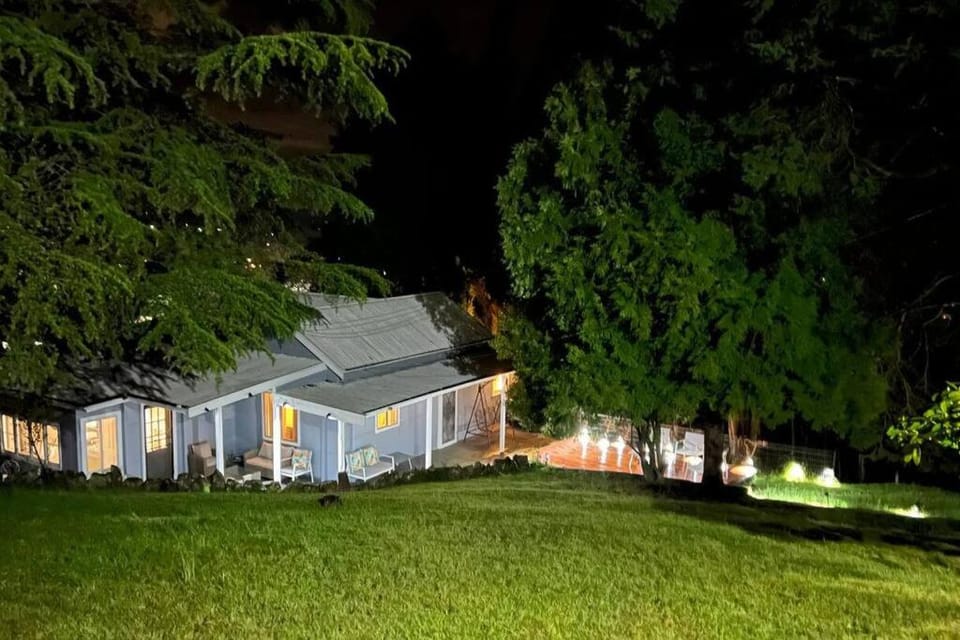 Property building, Night, Natural landscape, Garden, Garden view