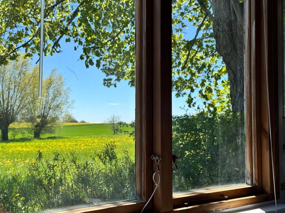 View (from property/room)