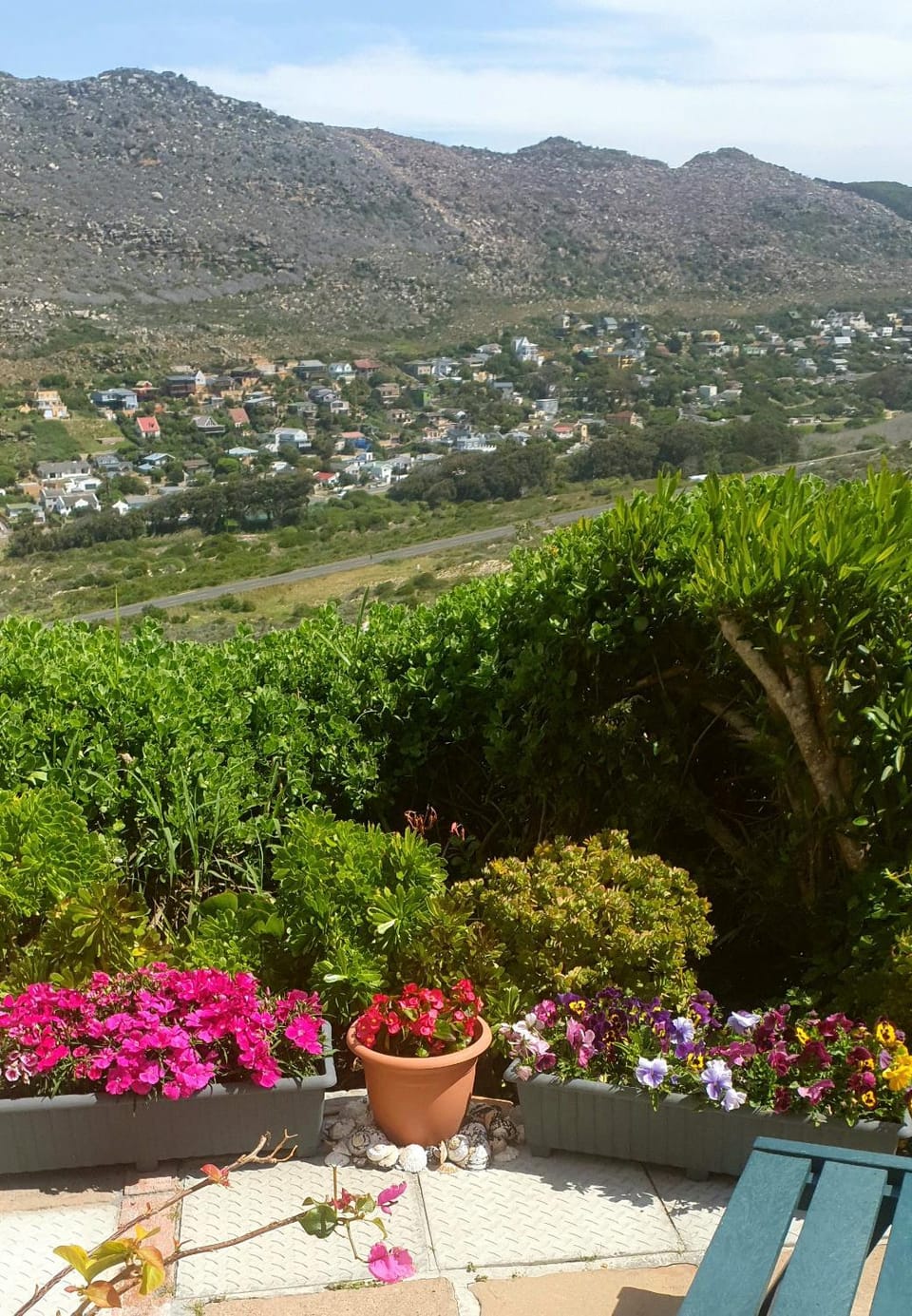 Day, Garden