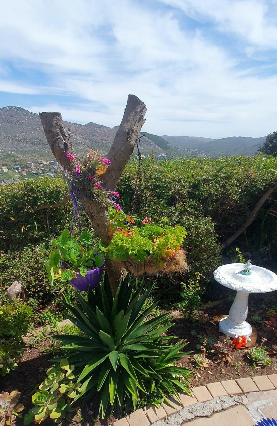 Garden view