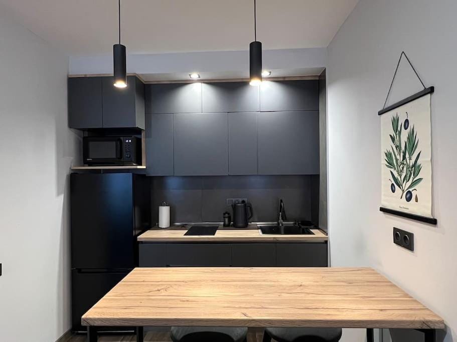 Newly Renovated, Modern and Bright Condo in Center Apartment in Yerevan