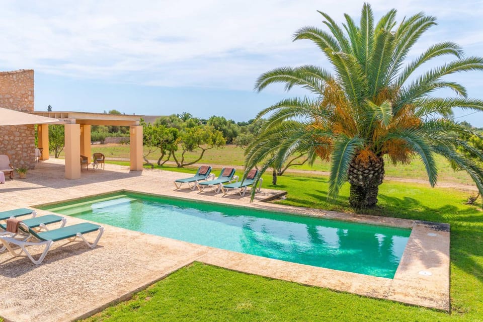 Garden, Garden view, Pool view, Swimming pool
