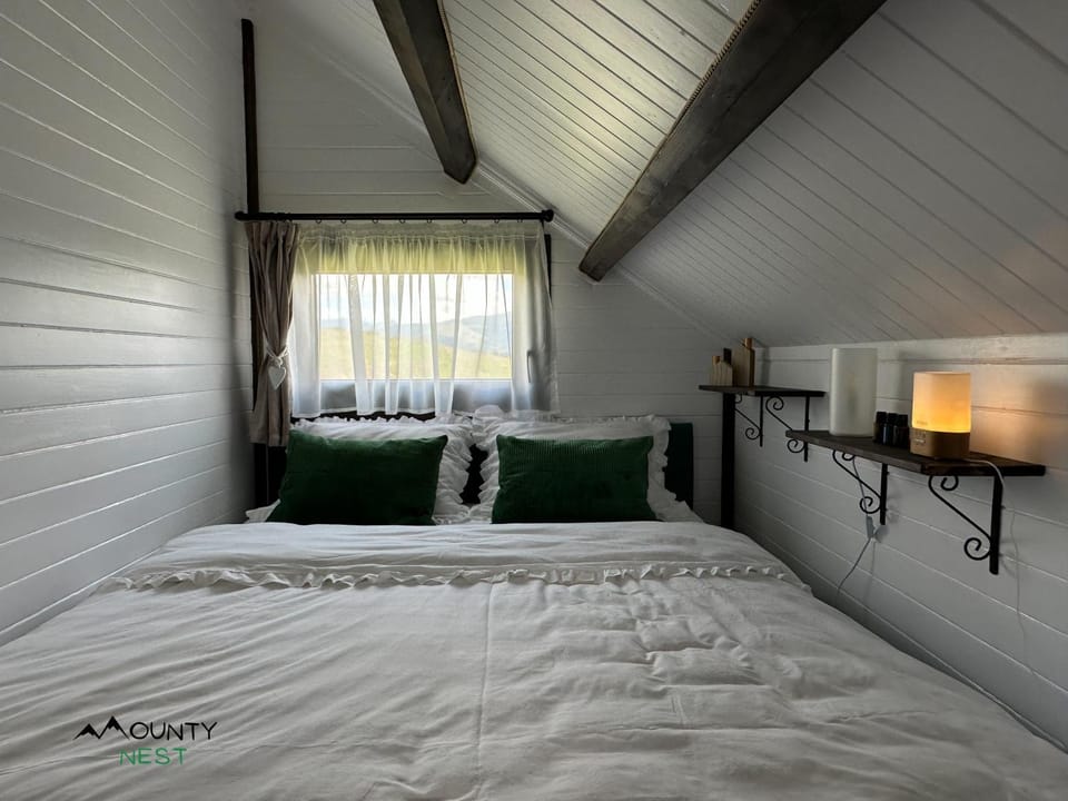 Mounty Nest Fundata House in Brașov County