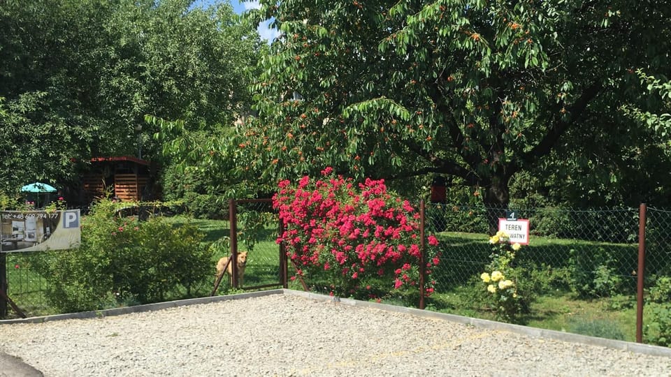 Natural landscape, Garden, Garden view, Area and facilities