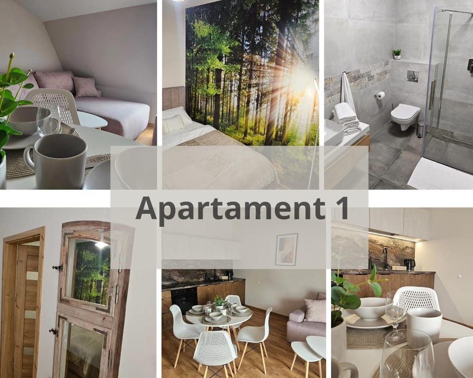 Arkady House Apartment in Poland
