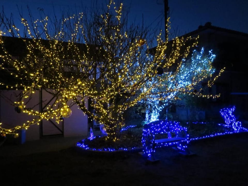 Night, Garden