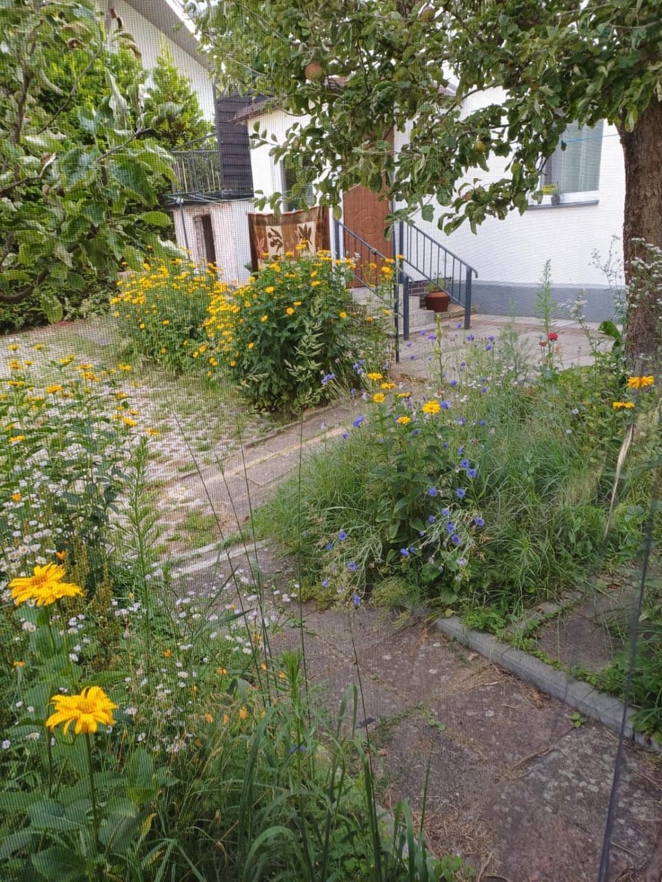 Property building, Garden