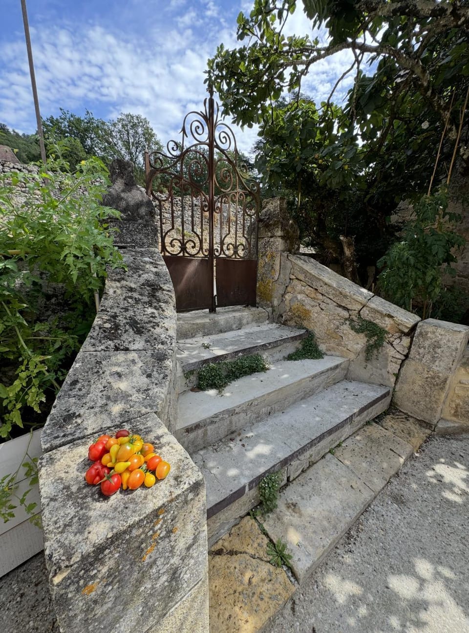 Inner courtyard view
