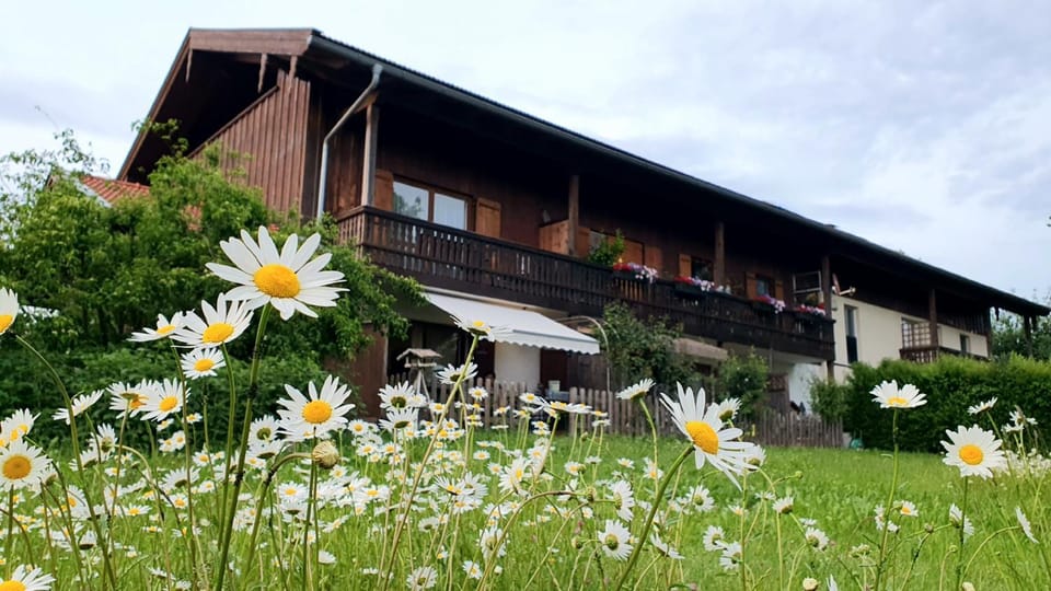 Ferienwohnungen Stecher Apartment in Bavaria