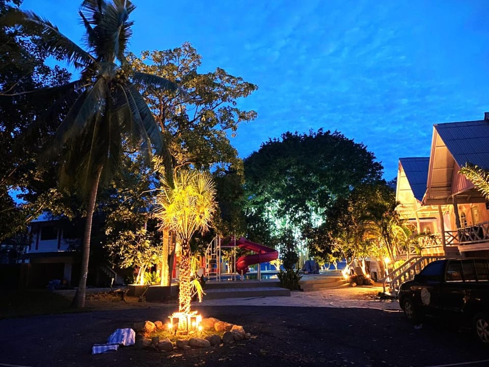 Night, Natural landscape, Garden view