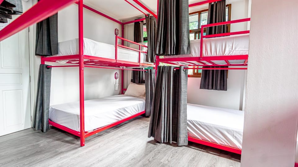 Bed, Photo of the whole room, Bedroom, bunk bed