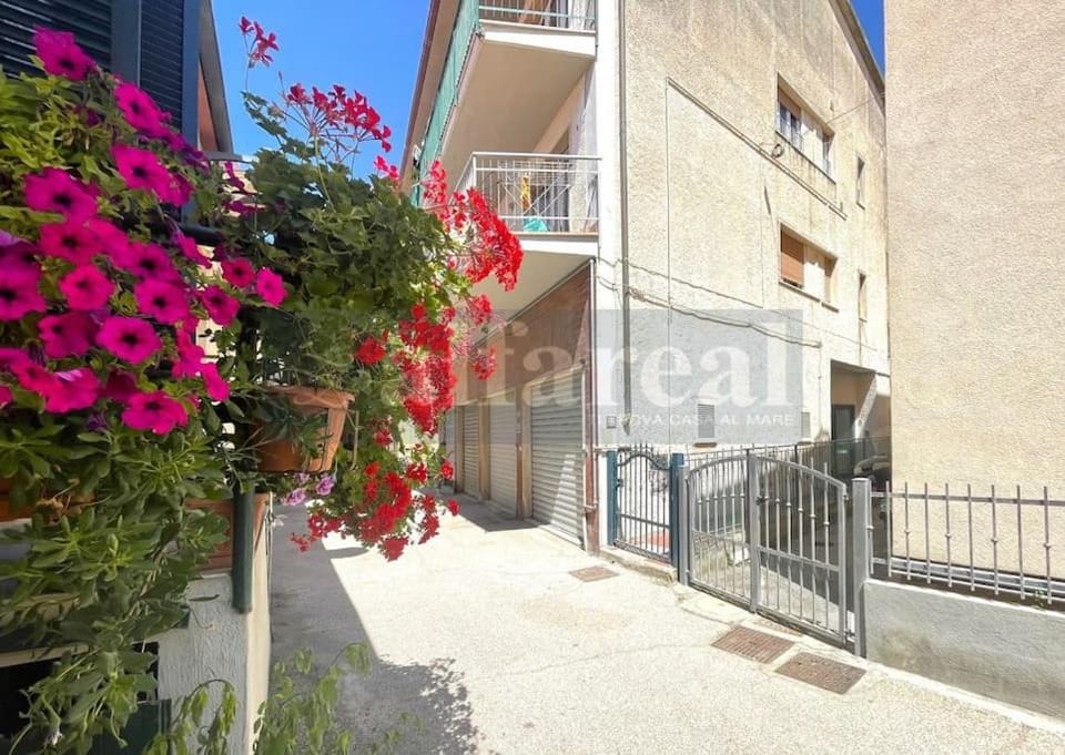 Property building, Neighbourhood, Street view