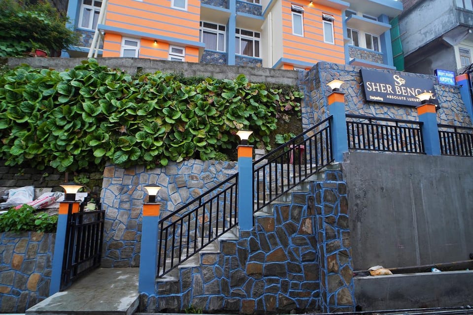 Property building, Day