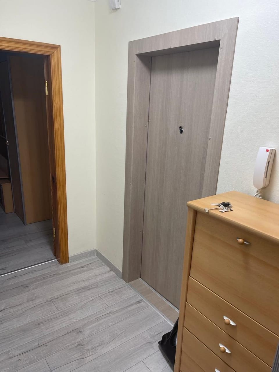 Žardes apartament Apartment in Klaipėda