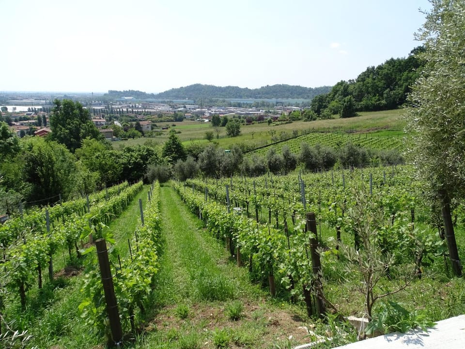 Natural landscape