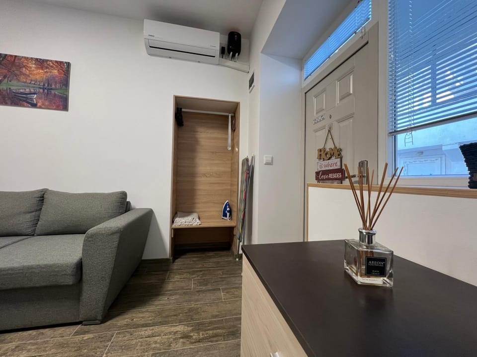 flat iron, wardrobe, air conditioner