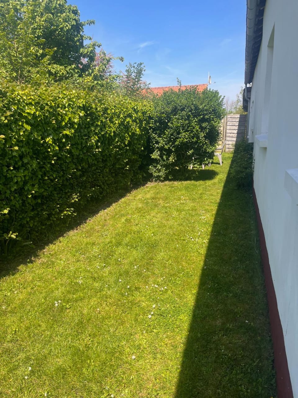 Garden, Balcony/Terrace