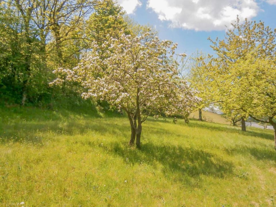 Lou cayrat a bagnols les bains House in Auvergne-Rhône-Alpes
