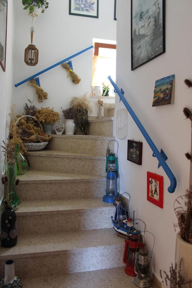 Sunce Apartment in Mali Losinj