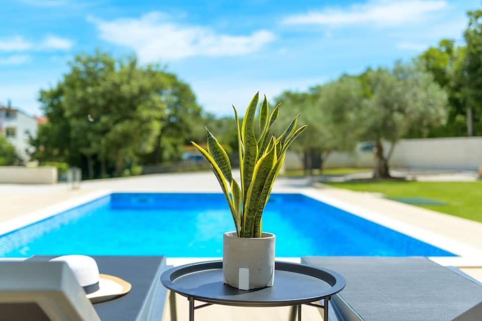 Villa Bepo by IstriaLux Villa in Istria County