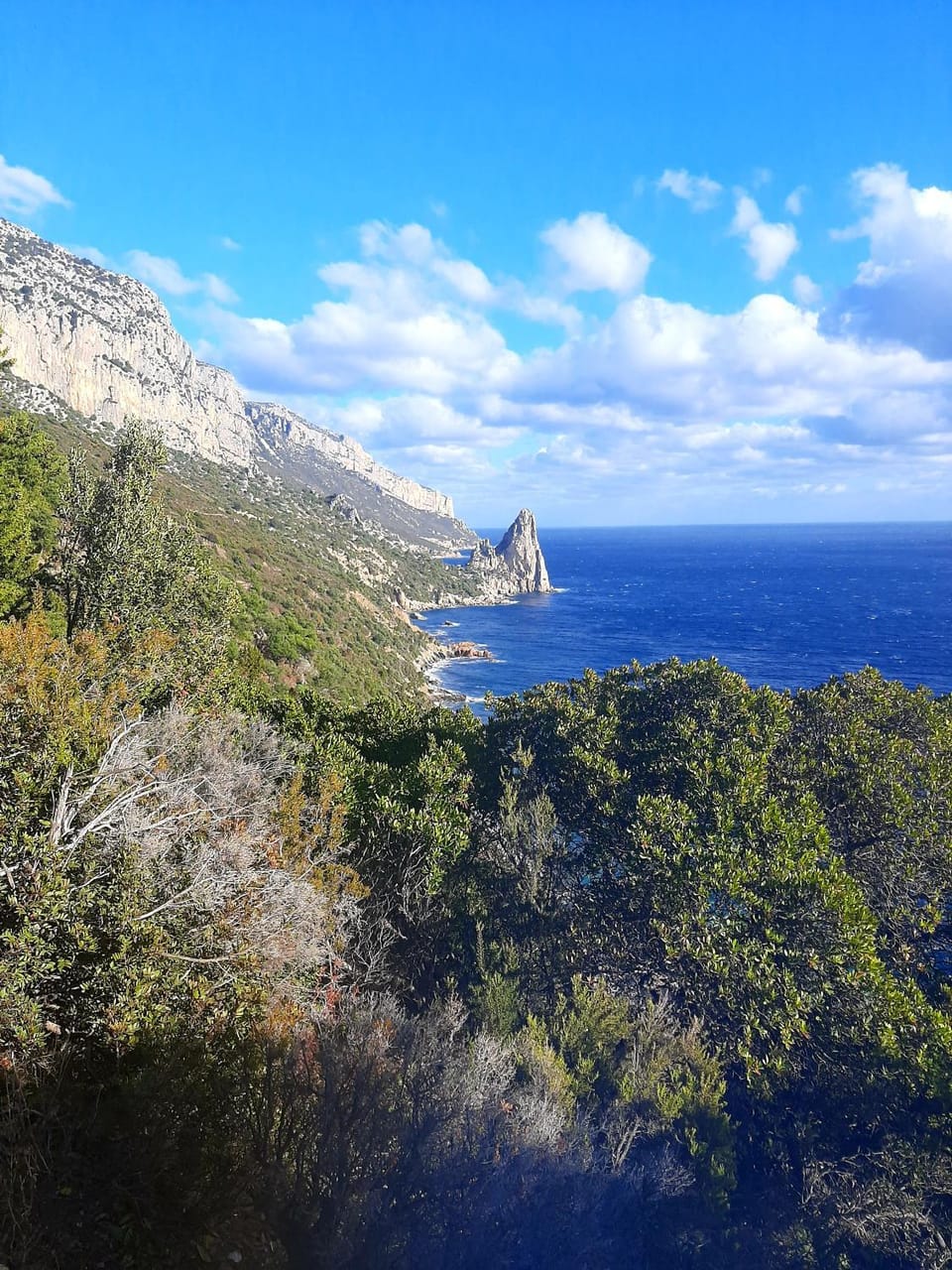 Nearby landmark