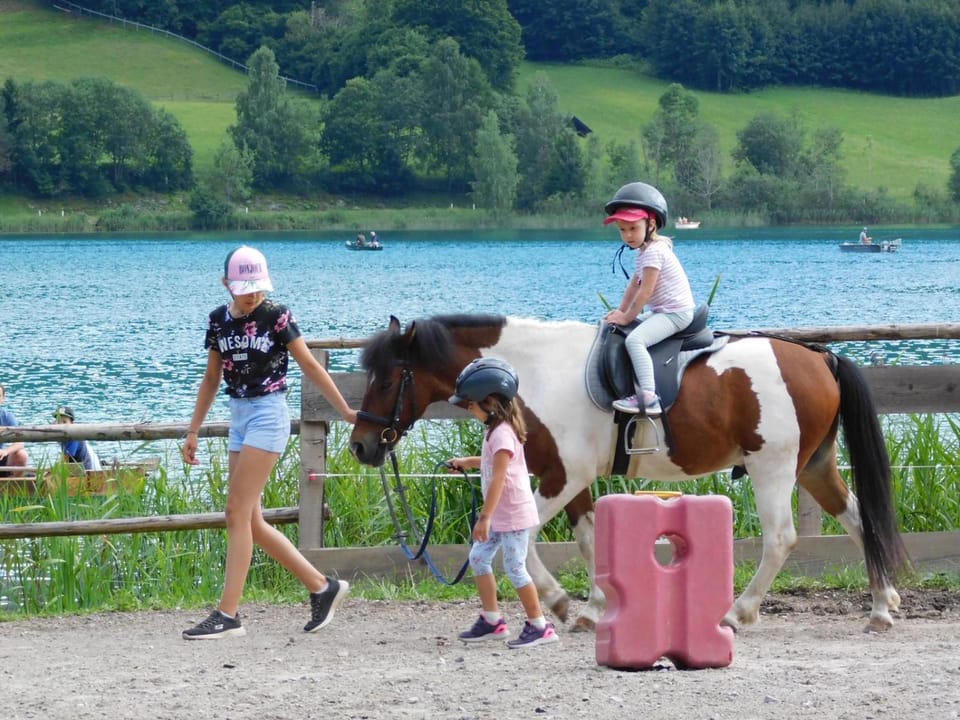 People, Natural landscape, Horse-riding, Animals, Lake view, children