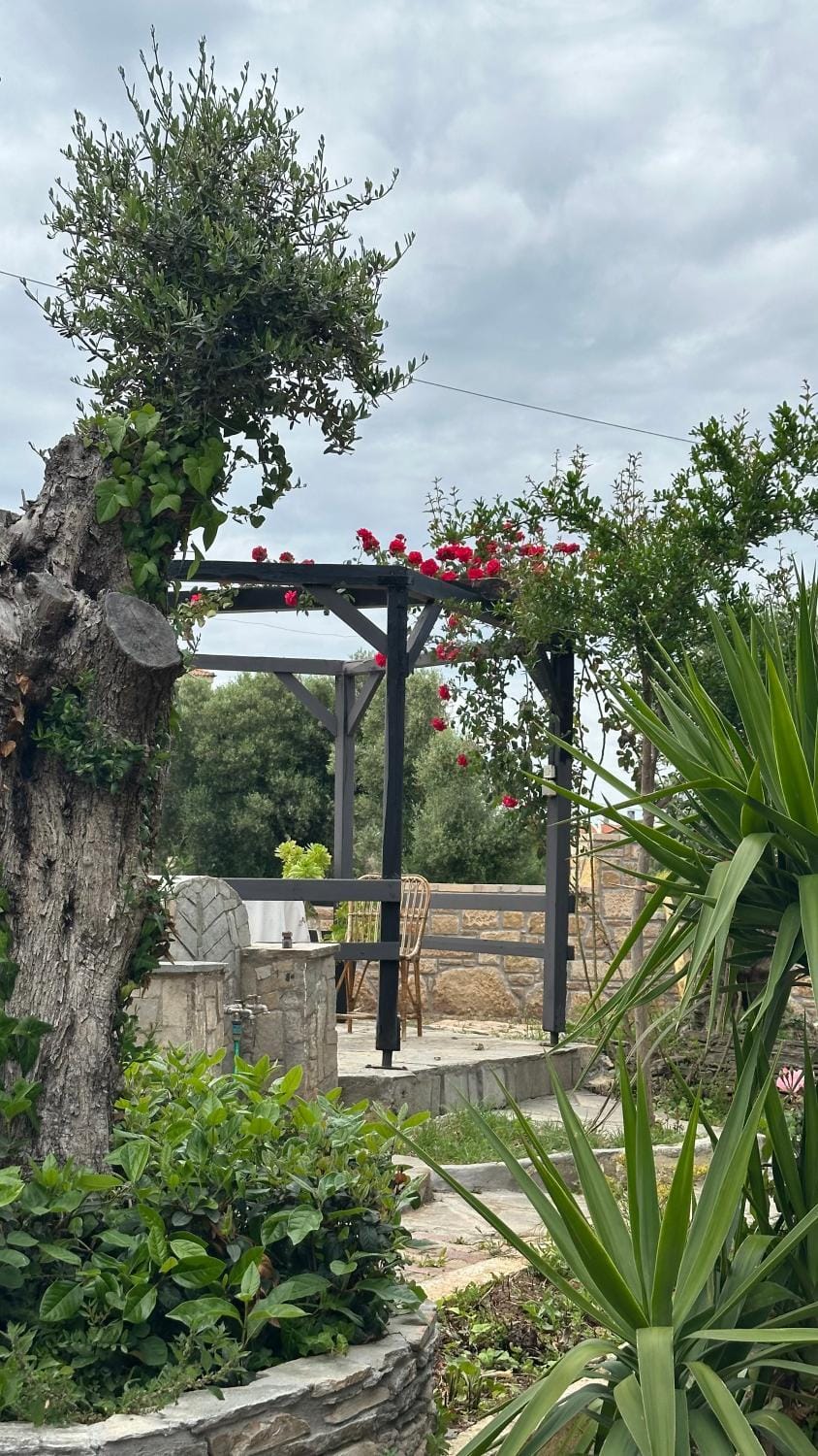 Inner courtyard view