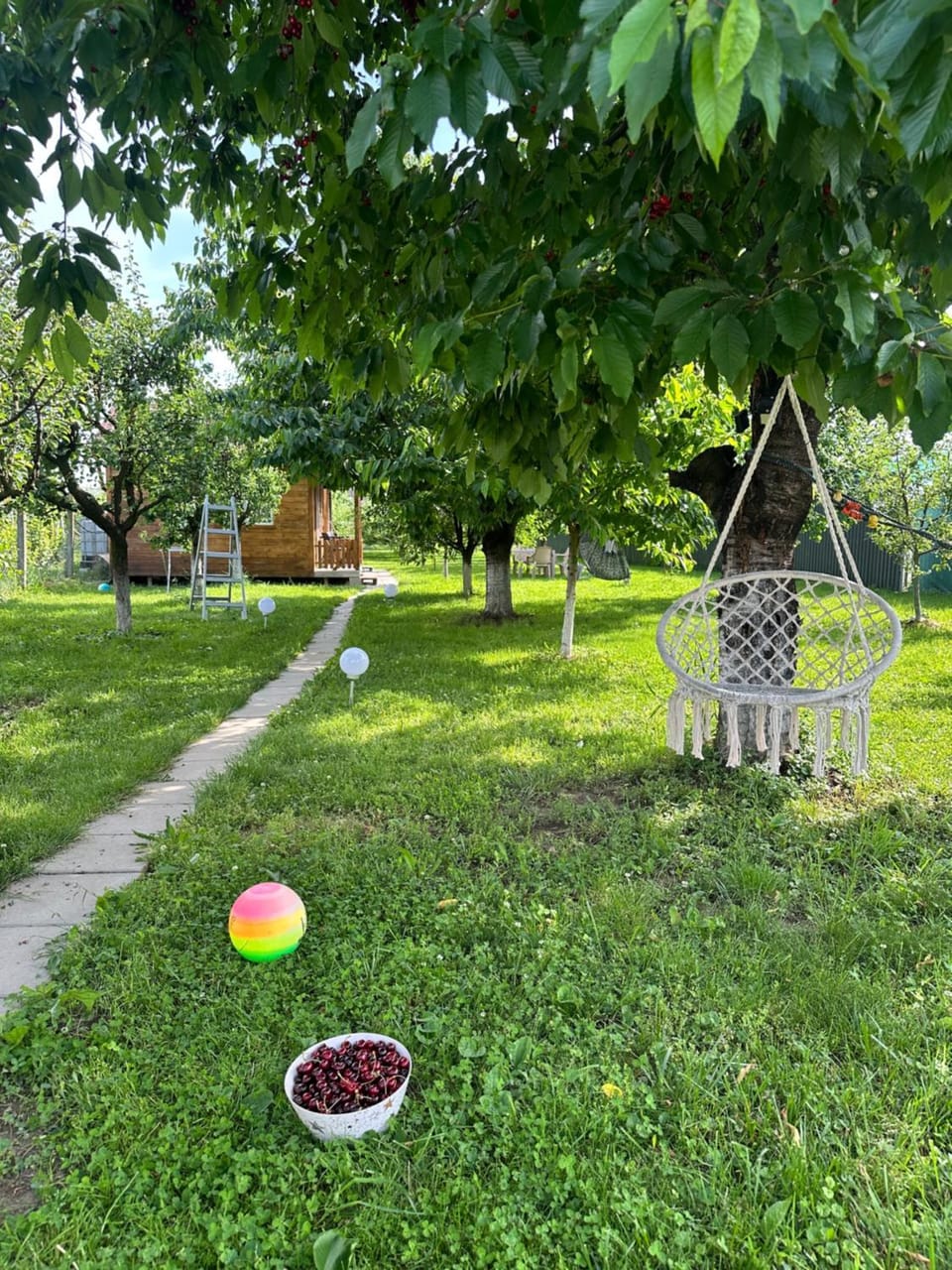 Casuta din livada Apartment in Cluj County