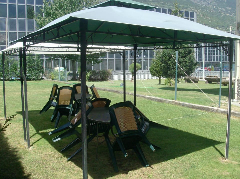Summer, Garden