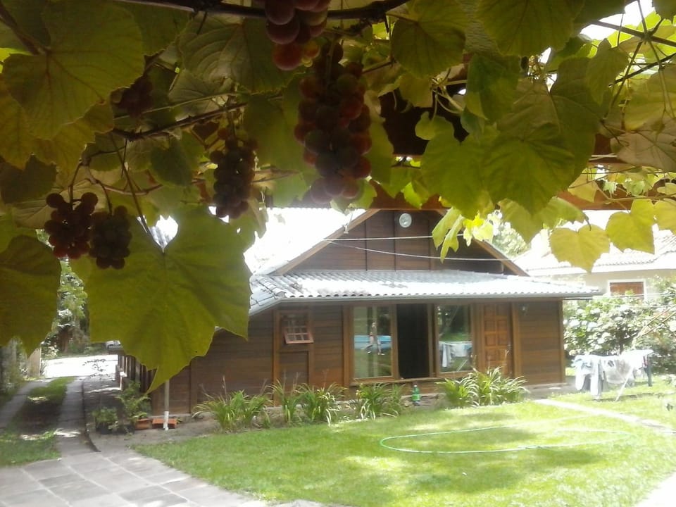 Property building, Garden, Garden view, Inner courtyard view